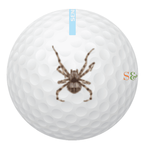 Spider Bite Golf Balls